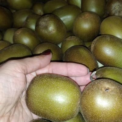 VELIORGANIC